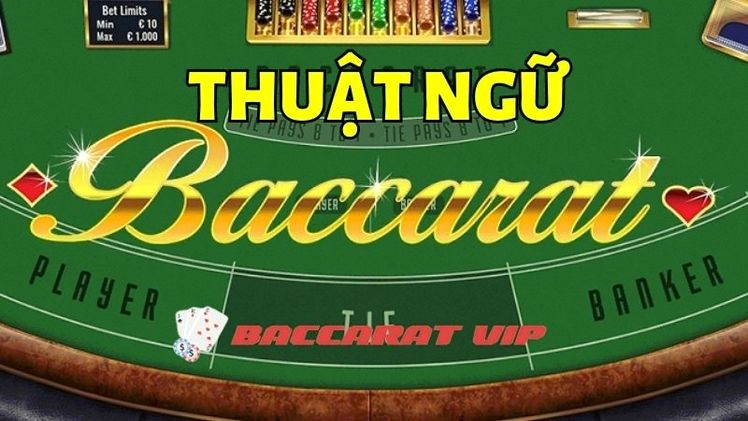 Thuật ngữ thường gặp khi chơi game bài Baccarat